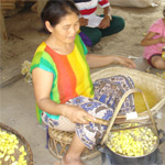 Weaving of Laos